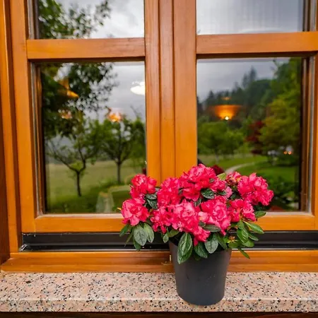 House Sofia Prázdninový dům Delnice