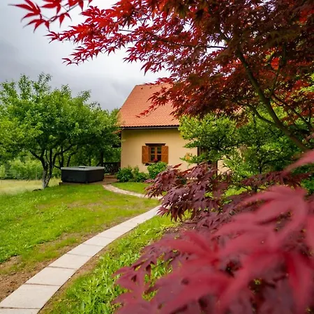 House Sofia *